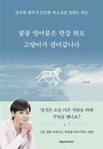꽁꽁 얼어붙은 한강 위로 고양이가 걸어갑니다
